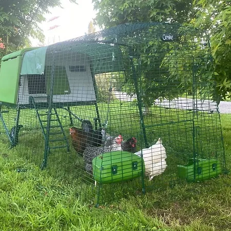Casa de Férias Les Mouettes - La Paix Du Bord De Seine *
