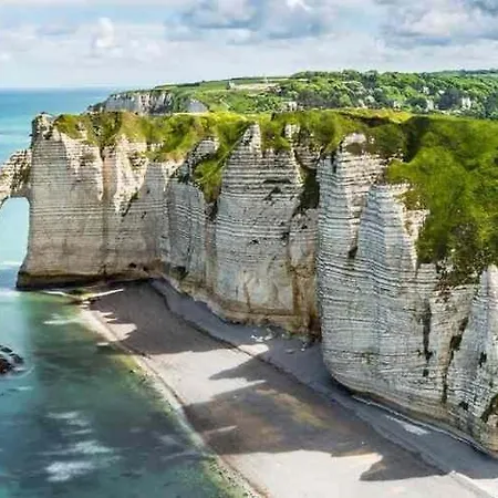 Les Mouettes - La Paix Du Bord De Seine * Berville-sur-Seine