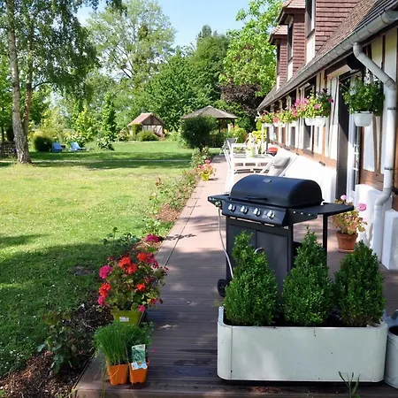 Les Mouettes - La Paix Du Bord De Seine