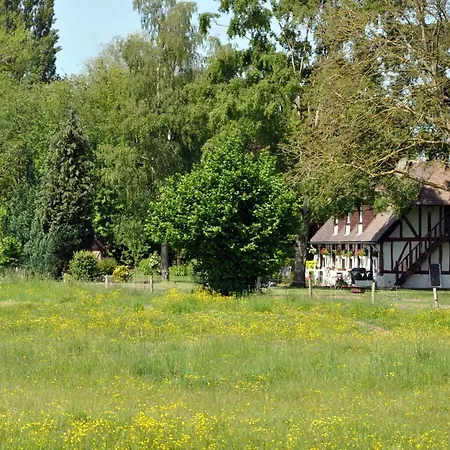 Les Mouettes - La Paix Du Bord De Seine